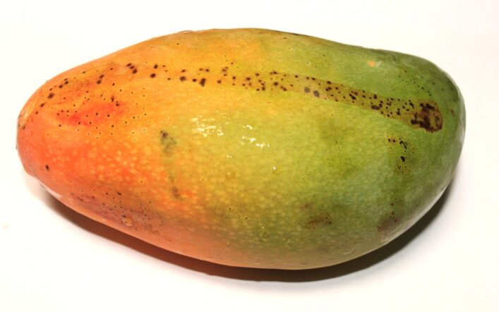 Jak rozpoznać dojrzałe mango? Sposoby i porady